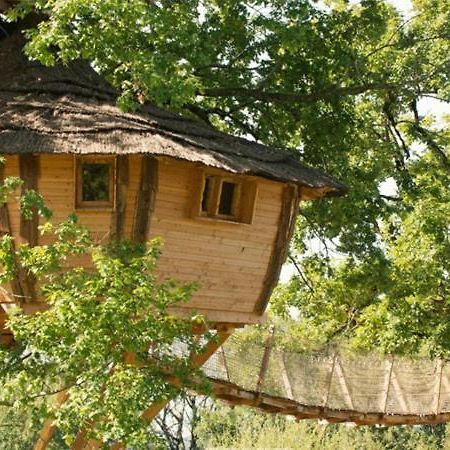 Cabane Perchee Dans Les Arbres Saint-Hilaire-en-Morvan 外观 照片