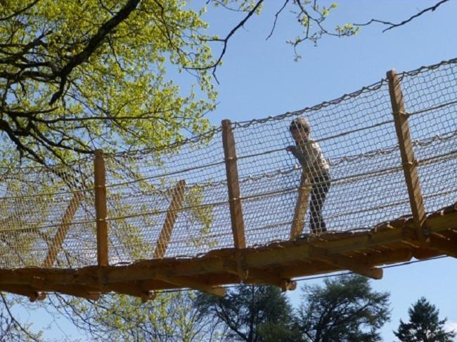 Cabane Perchee Dans Les Arbres Saint-Hilaire-en-Morvan 外观 照片