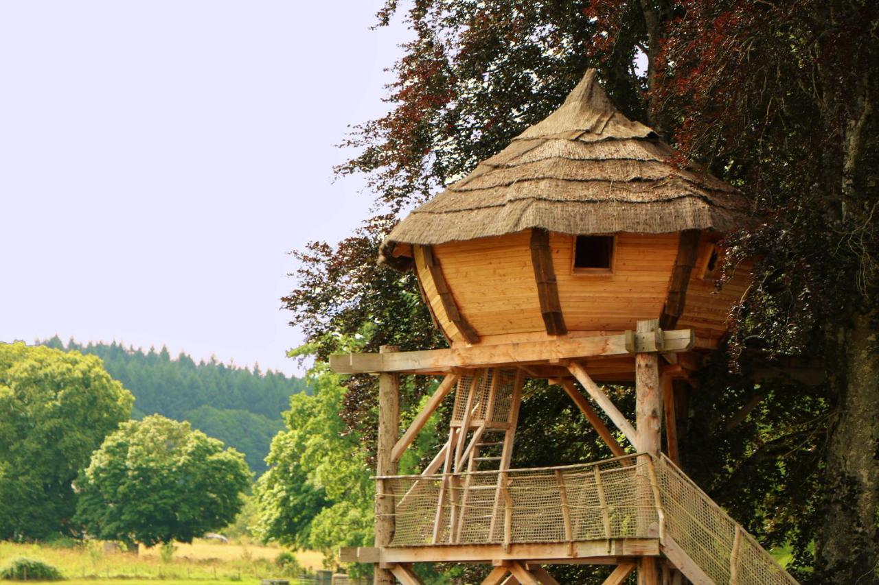 Cabane Perchee Dans Les Arbres Saint-Hilaire-en-Morvan 外观 照片