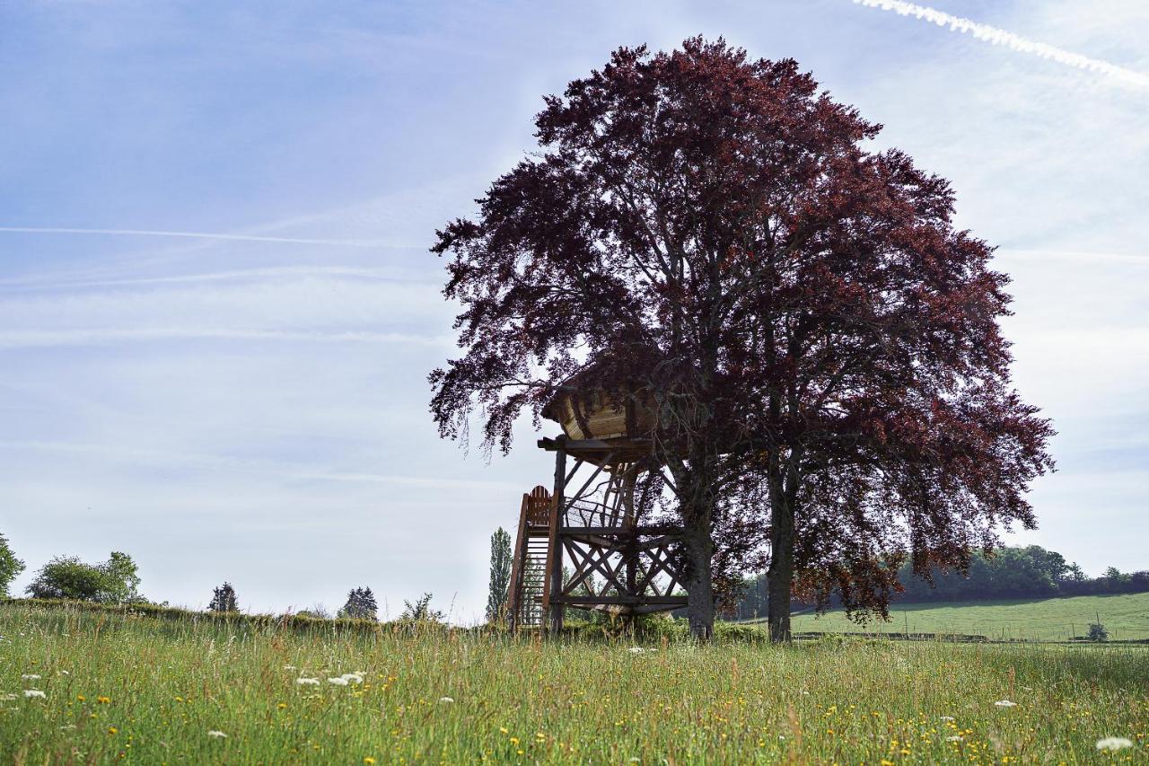 Cabane Perchee Dans Les Arbres Saint-Hilaire-en-Morvan 外观 照片