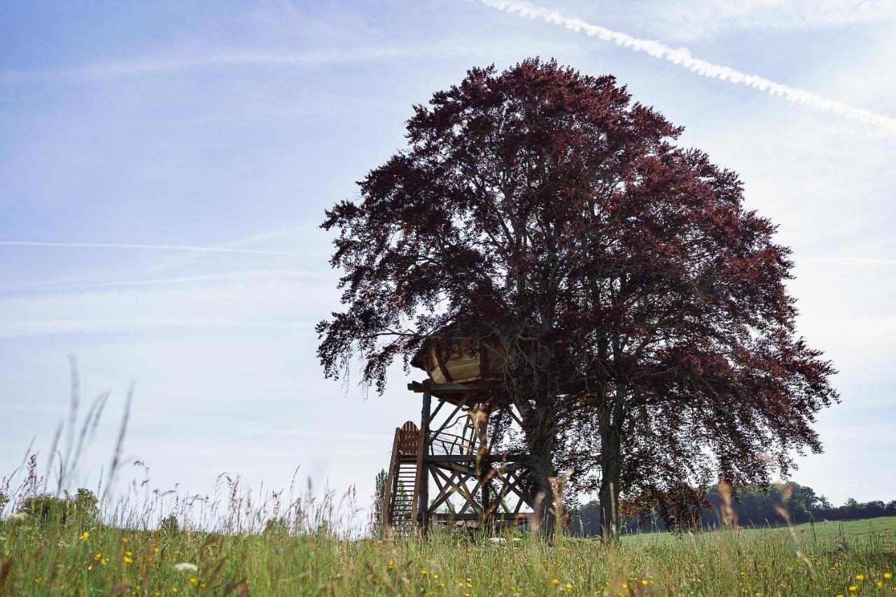 Cabane Perchee Dans Les Arbres Saint-Hilaire-en-Morvan 外观 照片