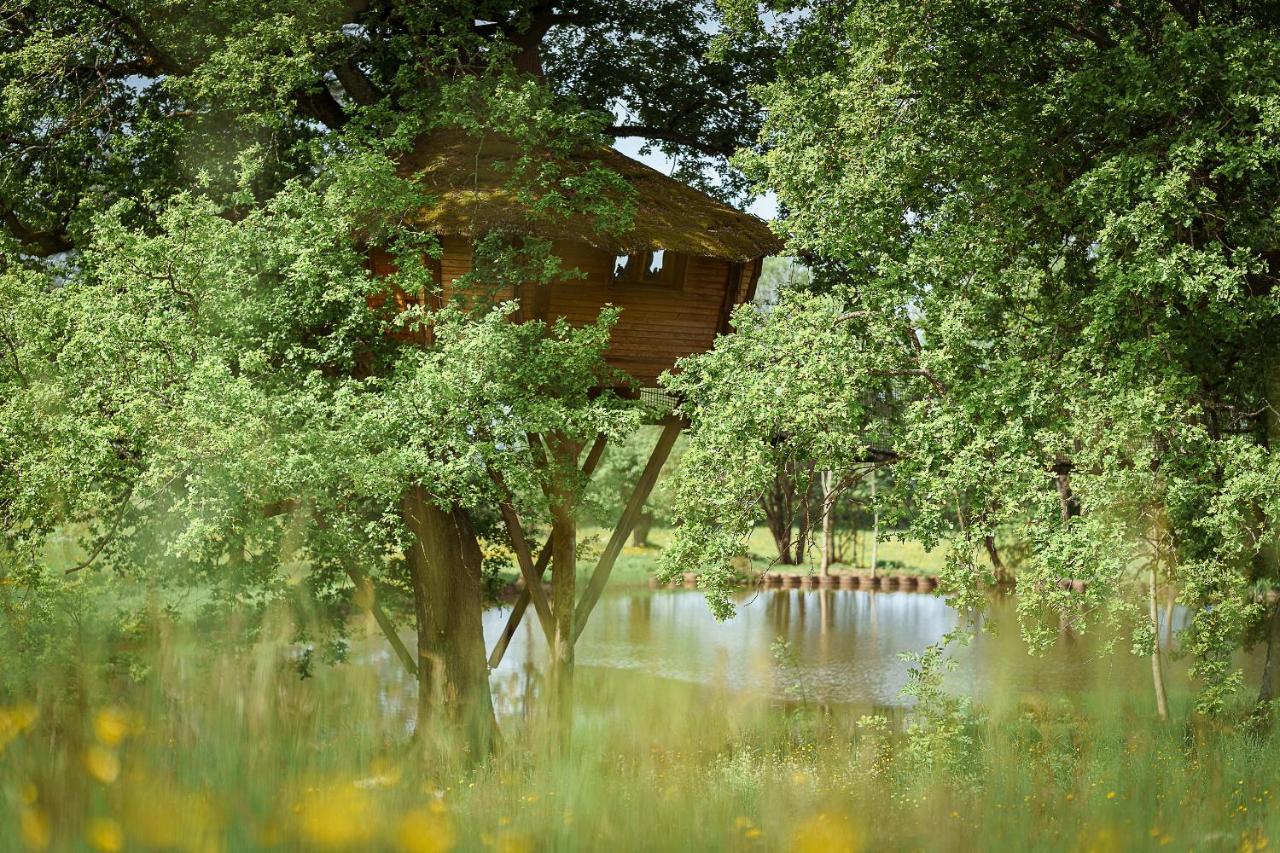 Cabane Perchee Dans Les Arbres Saint-Hilaire-en-Morvan 外观 照片