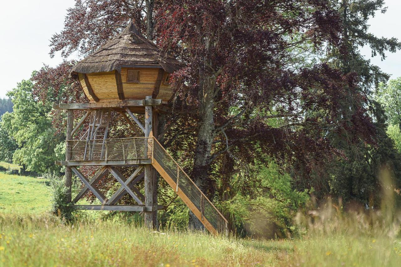 Cabane Perchee Dans Les Arbres Saint-Hilaire-en-Morvan 外观 照片
