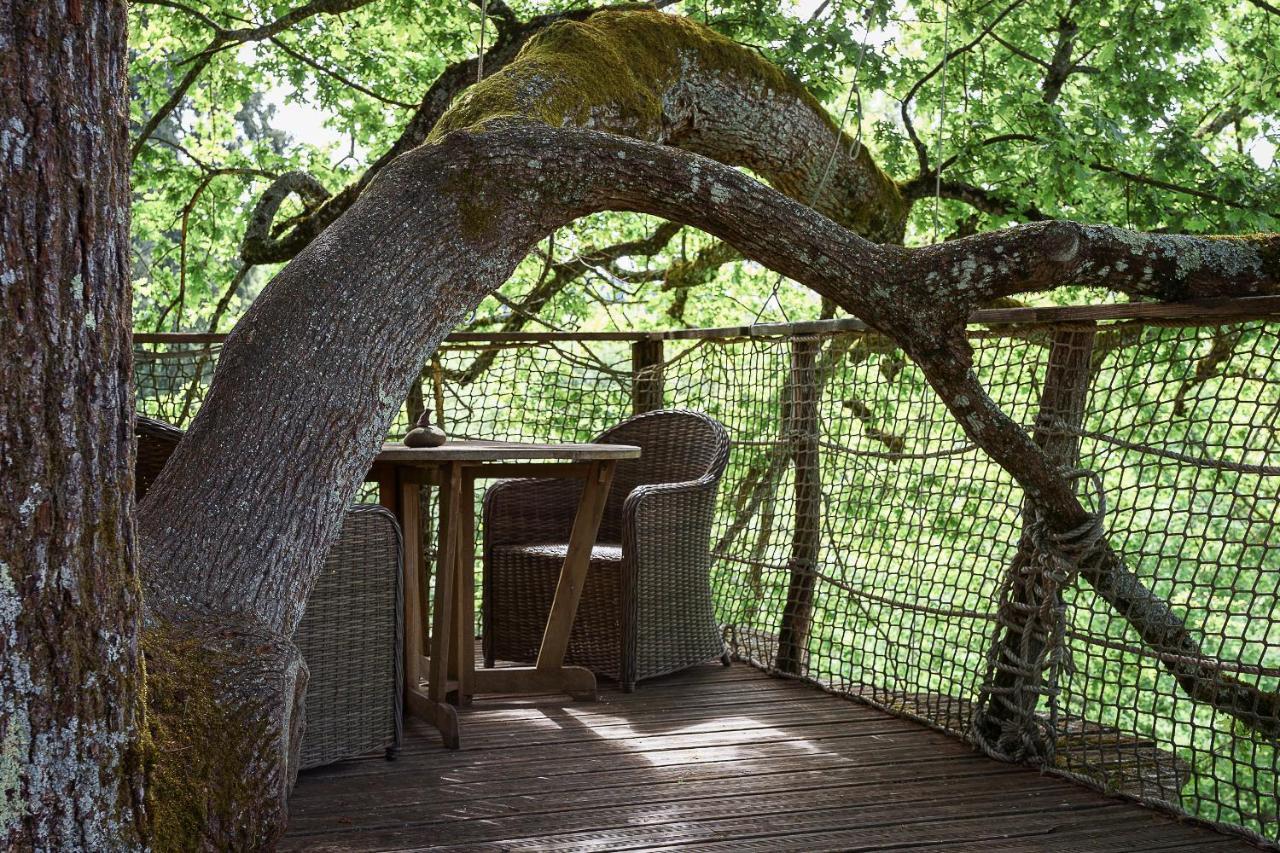 Cabane Perchee Dans Les Arbres Saint-Hilaire-en-Morvan 外观 照片