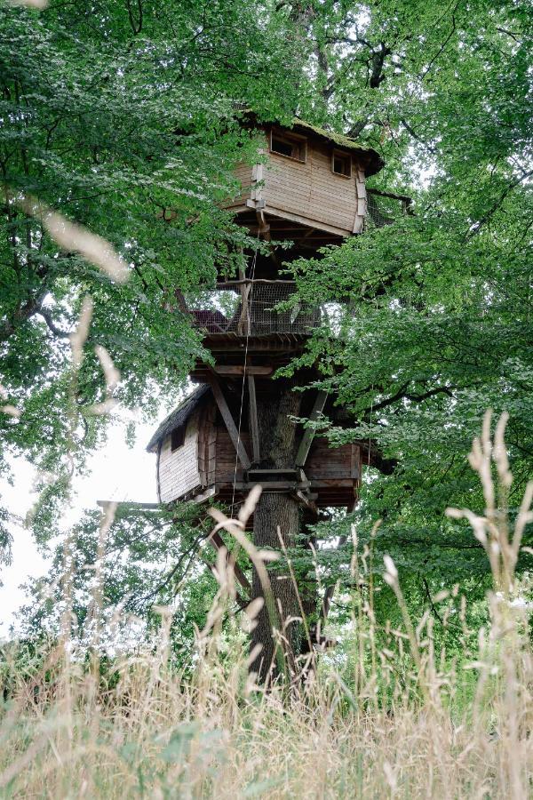 Cabane Perchee Dans Les Arbres Saint-Hilaire-en-Morvan 外观 照片