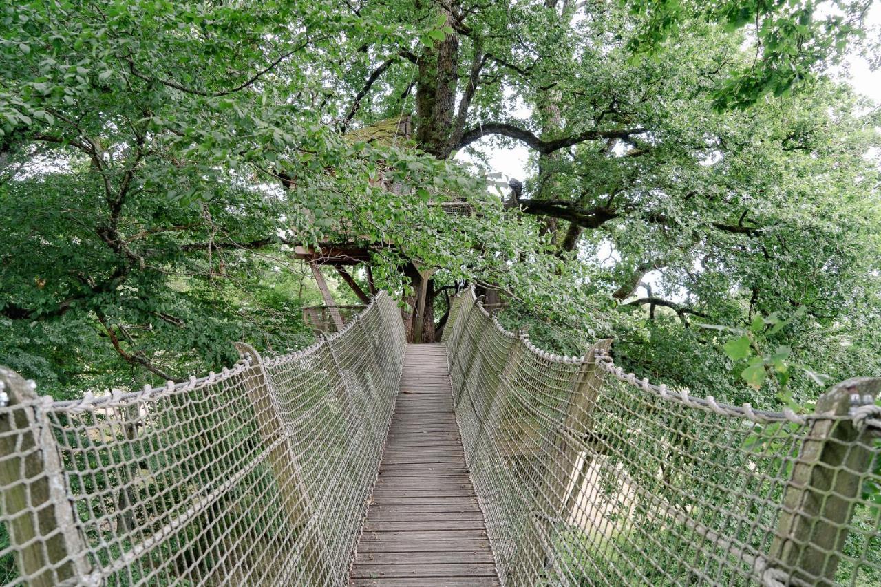 Cabane Perchee Dans Les Arbres Saint-Hilaire-en-Morvan 外观 照片