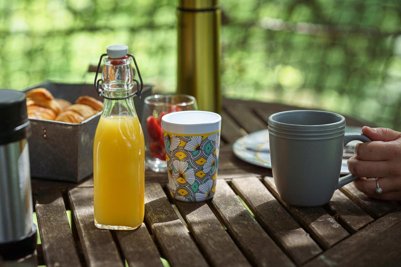 Cabane Perchee Dans Les Arbres Saint-Hilaire-en-Morvan 外观 照片