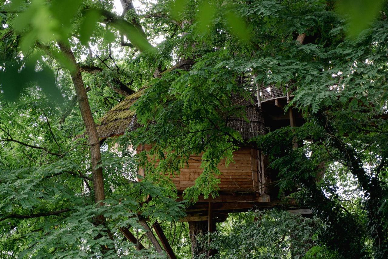 Cabane Perchee Dans Les Arbres Saint-Hilaire-en-Morvan 外观 照片