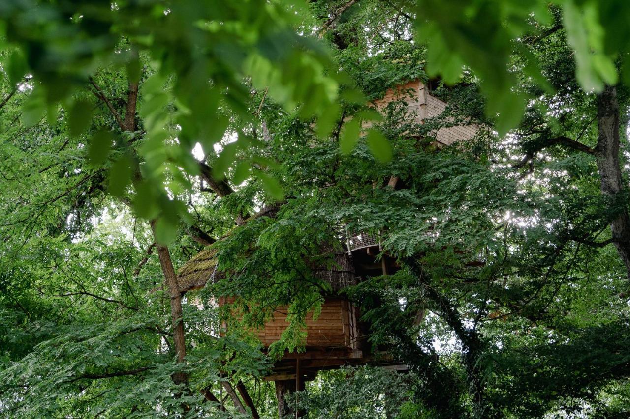 Cabane Perchee Dans Les Arbres Saint-Hilaire-en-Morvan 外观 照片